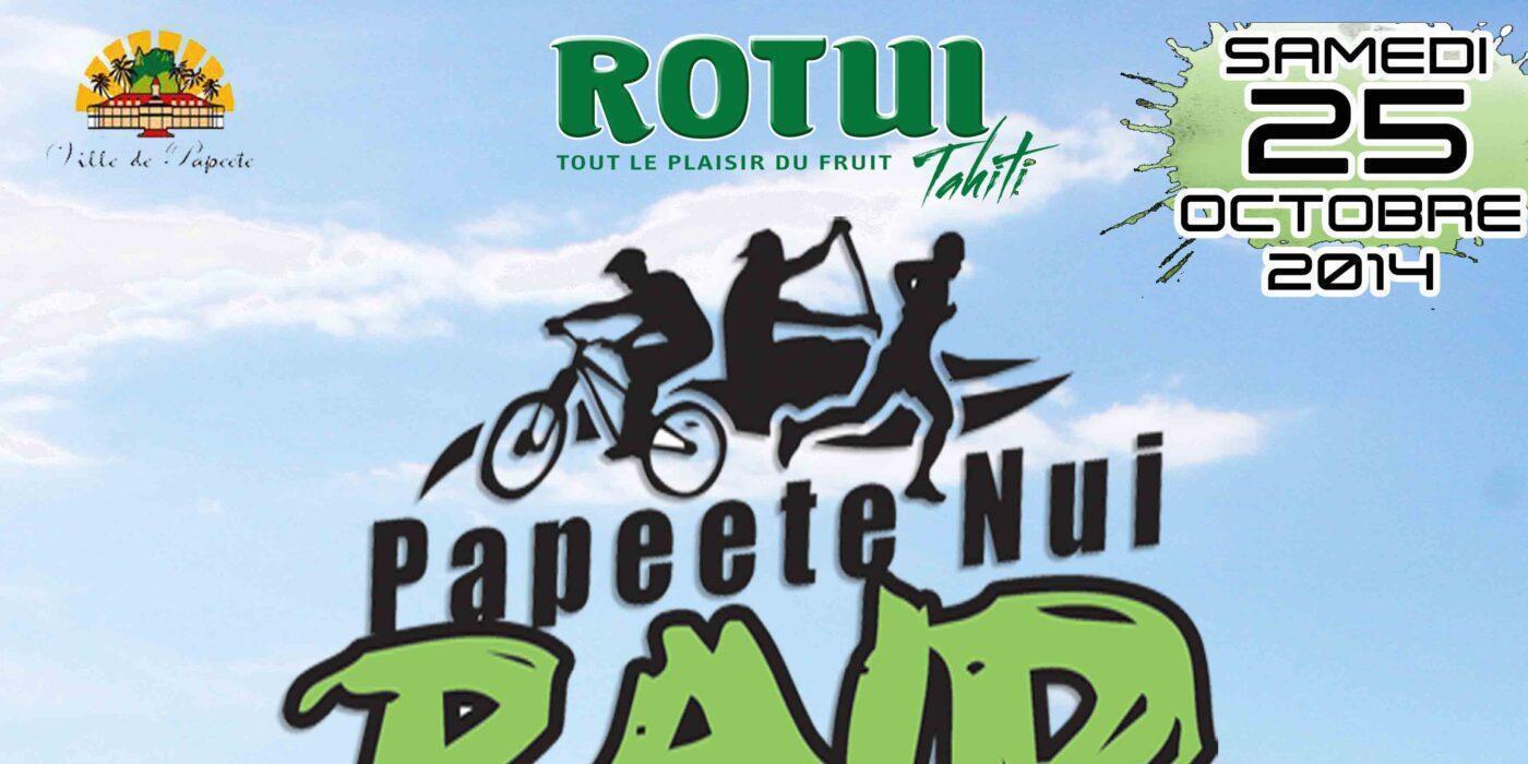 Affiche PPT RAID 2014