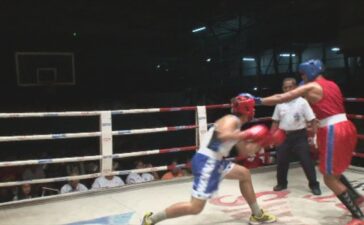 boxe 4
