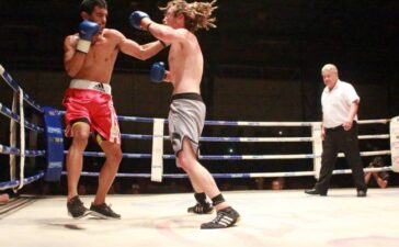 boxe - albertini
