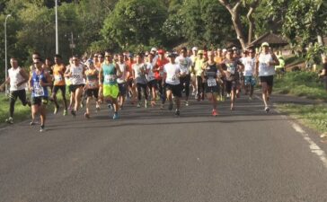 corrida noel